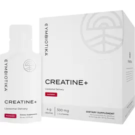 Cymbiotika Creatine+ / Креатин липосомальный поддержка выработки энергии 20 саше в магазине биодобавок nutrido.shop