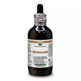 Hawaii Pharm Umckaloabo Alcohol-FREE / Умкалоабо без спирту 120 мл від магазину біодобавок nutrido.shop