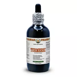 Hawaii Pharm Turmeric Alcohol-FREE / Куркумин органик без спирта 120 мл в магазине биодобавок nutrido.shop