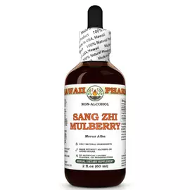 Hawaii Pharm Sang Zhi Mulberry Alcohol-FREE / Шовковиця Санг Чжі без спирту 60 мл від магазину біодобавок nutrido.shop