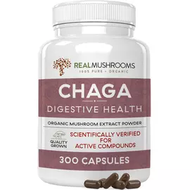 Real Mushrooms Chaga / Гриби з екстрактом чаги для підтримки імунітету і травлення 300 капс. від магазину біодобавок nutrido.shop