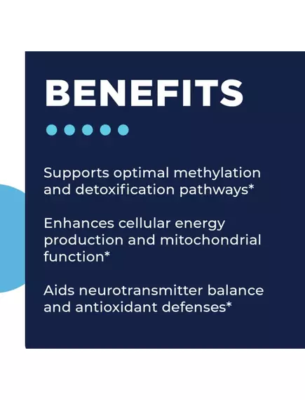 CellCore Methyl-B Comple / Вітаміни групи Б в активній формі 60 капсул, фото 4 в магазине биодобавок nutrido.shop