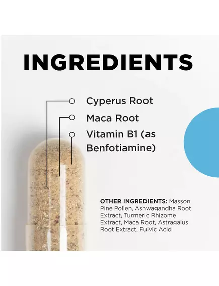 CellCore S-TRO / Адаптогенные травы 120 капсул, фото 2 в магазине биодобавок nutrido.shop