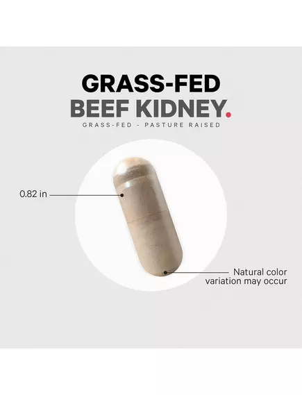 CODEAGE BEEF KIDNEY / ЯЛОВИЧІ НИРКИ 180 КАПСУЛ, фото 3 від магазину біодобавок nutrido.shop