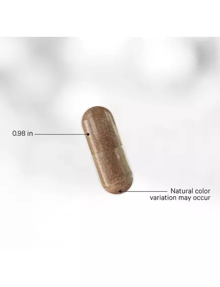 CodeAge Liposomal Green Tea+ / Ліпосомальний зелений чай Плюс 60 капсул, фото 3 від магазину біодобавок nutrido.shop