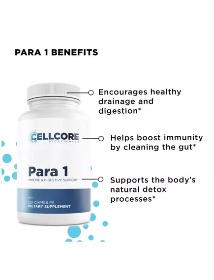 CellCore Phase 3 Whole Body Immune Support / Програма глибокого очищення всього тіла 6 шт., фото 4 від магазину біодобавок nutrido.shop