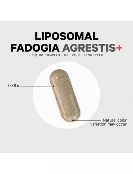 CodeAge Liposomal Fadogia Agrestis+ / Фадогия для поддержания уровня тестостерона липосомальная 60 к, фото 8 в магазине биодобавок nutrido.shop