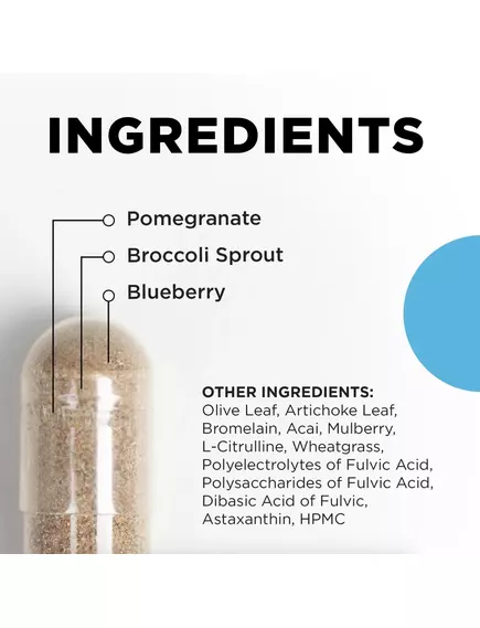 CellCore IFC Inflamma Control / Контроль воспаления и детокс 120 капсул, фото 3 в магазине биодобавок nutrido.shop