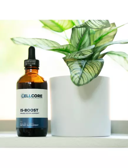 CellCore IS-BOOST / Поддержка пищеварительной функции и желчеоттока 120 мл, фото 2 в магазине биодобавок nutrido.shop