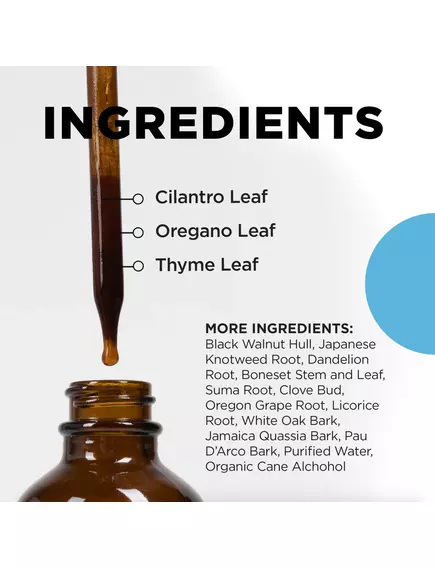 CellCore IS-BOOST / Поддержка пищеварительной функции и желчеоттока 120 мл, фото 6 в магазине биодобавок nutrido.shop