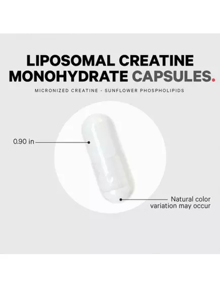 CODEAGE LIPOSOMAL CREATINE / КРЕАТИН ЛІПОСОМАЛЬНИЙ 360 КАПСУЛ, фото 6 від магазину біодобавок nutrido.shop