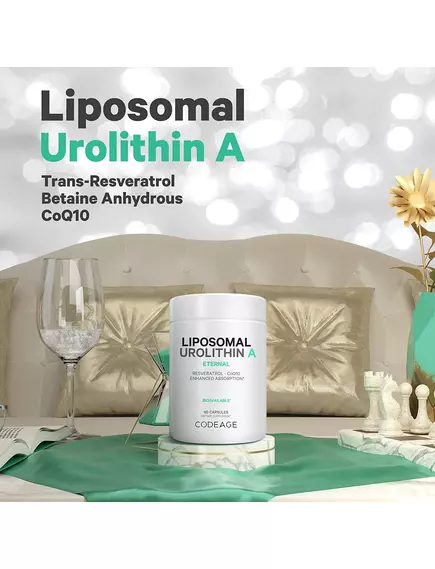 CODEAGE LIPOSOMAL UROLITHIN A / УРОЛІТИН A ЗБІЛЬШЕННЯ КЛІТИННОЇ ЕНЕРГІЇ 60 КАПСУЛ, фото 3 від магазину біодобавок nutrido.shop