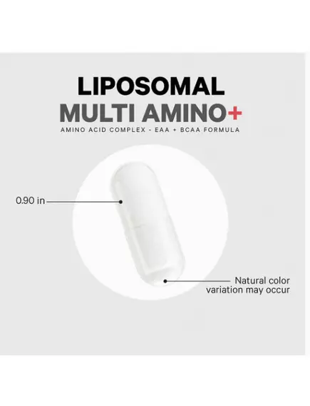 CodeAge Liposomal Multi Amino / Липосомальные незаменимые аминокислоты 240 капсул, фото 4 в магазине биодобавок nutrido.shop