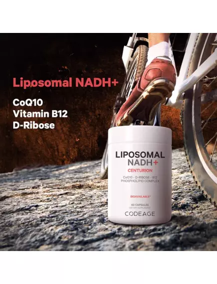 CodeAge Liposomal NADH+ / Липосомальный НАДН+ производство клеточной энергии 60 капсул, фото 2 в магазине биодобавок nutrido.shop
