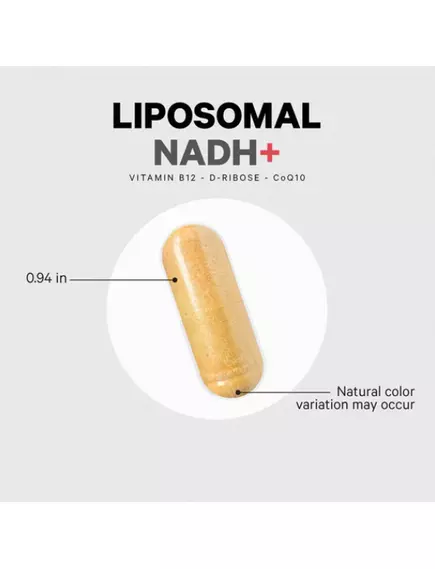 CodeAge Liposomal NADH+ / Липосомальный НАДН+ производство клеточной энергии 60 капсул, фото 8 в магазине биодобавок nutrido.shop