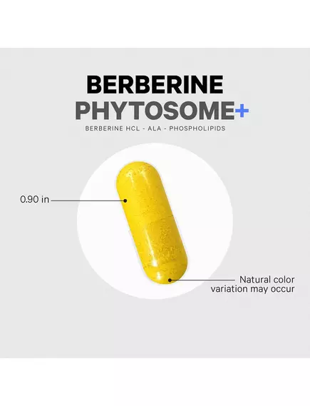 CodeAge Berberine Phytosome+ / Берберин HCL та альфа-ліпоєва кислота 60 капсул, фото 3 від магазину біодобавок nutrido.shop