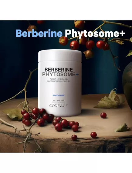 CodeAge Berberine Phytosome+ / Берберин HCL та альфа-ліпоєва кислота 60 капсул, фото 4 від магазину біодобавок nutrido.shop