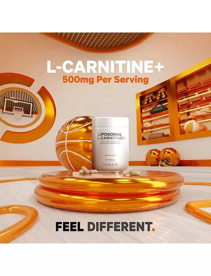 CODEAGE LIPOSOMAL L-CARNITINE / ЛІПОСОМАЛЬНИЙ L-КАРНІТИН 90 КАПСУЛ, фото 3 від магазину біодобавок nutrido.shop