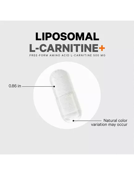 CODEAGE LIPOSOMAL L-CARNITINE / ЛІПОСОМАЛЬНИЙ L-КАРНІТИН 90 КАПСУЛ, фото 8 від магазину біодобавок nutrido.shop