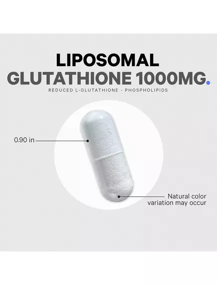 CodeAge Liposomal Glutathione / Ліпосомальний глутатіон 1000 мг 60 капсул, фото 7 в магазині біодобавок nutrido.shop CodeAge Liposomal Glutathione / Ліпосомальний глутатіон 1000 мг 60 капсул, фото 7 від магазину біодобавок nutrido.shop