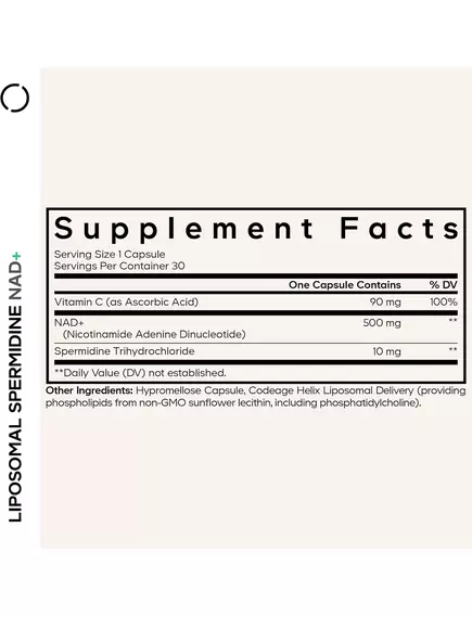 CodeAge Liposomal Spermidine NAD+ / Ліпосомальний спермідин 500 мг NAD+ 30 капсул, фото 2 від магазину біодобавок nutrido.shop