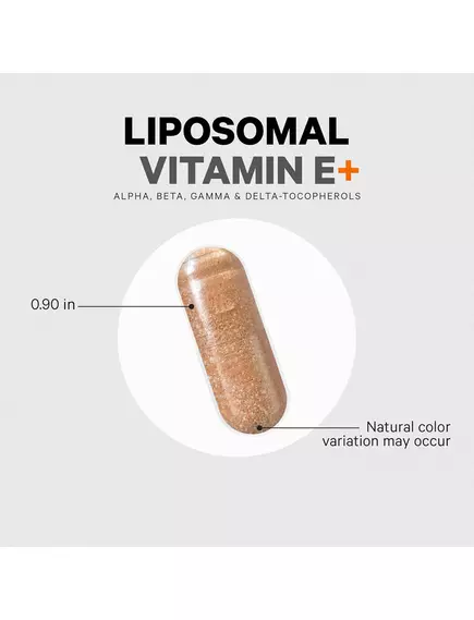 CodeAge Liposomal Vitamin E / Ліпосомальний вітамін Е на основі соняшникововї олії 90 капсул, фото 2 від магазину біодобавок nutrido.shop