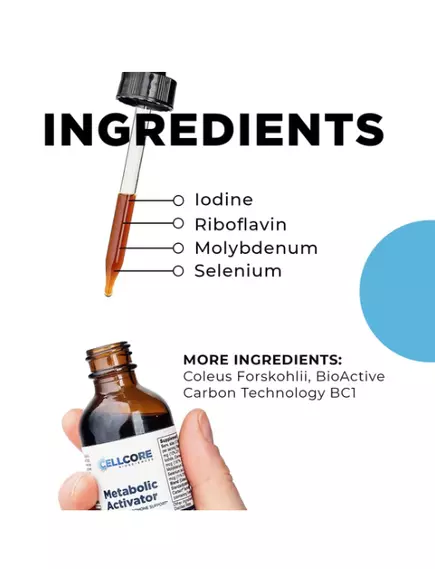 CellCore Metabolic Activator / Поддержка метаболизма, щитовидной железы и митохондрий 59 мл, фото 2 в магазине биодобавок nutrido.shop