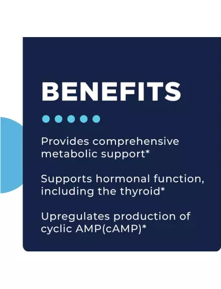 CellCore Metabolic Activator / Поддержка метаболизма, щитовидной железы и митохондрий 59 мл, фото 3 в магазине биодобавок nutrido.shop