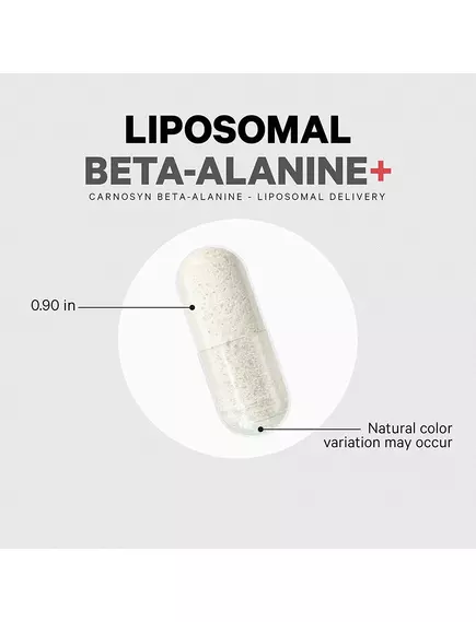 CODEAGE LIPOSOMAL BETA-ALANINE / ЛІПОСОМАЛЬНИЙ БЕТА-АЛАНІН 180 КАПСУЛ, фото 6 від магазину біодобавок nutrido.shop