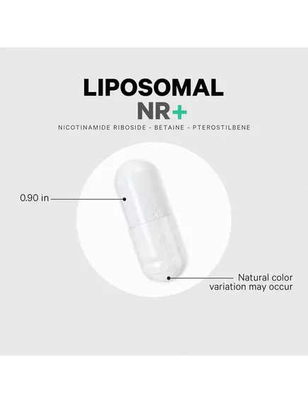 CodeAge Liposomal Nicotinamide Riboside+ / Ліпосомальний нікотинамід рибозид 60 капсул, фото 6 від магазину біодобавок nutrido.shop