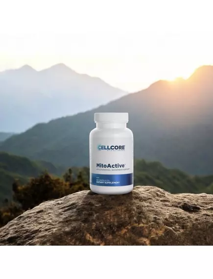 CellCore MitoActive / Підтримка мітохондрій і вироблення енергії 60 капсул, фото 7 від магазину біодобавок nutrido.shop