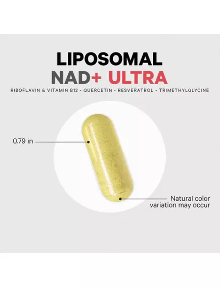 CODEAGE LIPOSOMAL NAD+ ULTRA / ЛІПОСОМАЛЬНИЙ НАД+ УЛЬТРА ДЛЯ ПІДТРИМКИ ЗДОРОВОГО СТАРІННЯ 90 КАПСУЛ, фото 7 від магазину біодобавок nutrido.shop