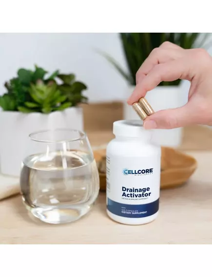 CellCore Drainage Activator / Активатор дренажу та детоксикації організму 120 капсул, фото 6 від магазину біодобавок nutrido.shop