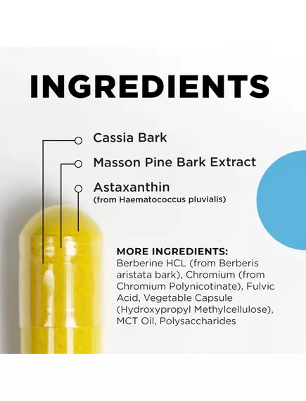 CellCore GCO / Здоровый уровень сахара в крови 90 капсул, фото 3 в магазине биодобавок nutrido.shop