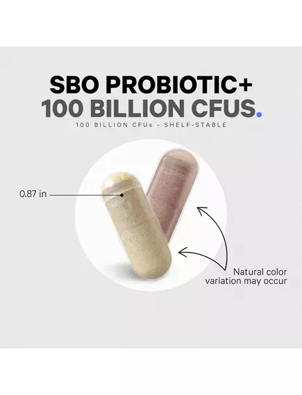 CODEAGE SBO PROBIOTIC + 100 BILLION CFUS / ГРУНТОВІ ПРОБІОТИКИ 100 МЛРД КУО 90 КАПСУЛ, фото 3 від магазину біодобавок nutrido.shop