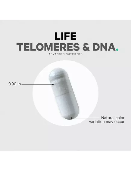 CodeAge Ultra Life Telomeres / Теломеры поддержка здорового старения и цикла метилирования 90 капсул, фото 7 в магазине биодобавок nutrido.shop