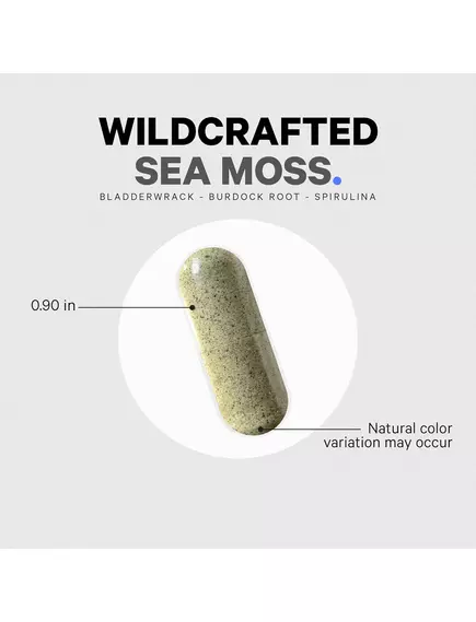 CODEAGE WILDCRAFTED SEA MOSS / СИРІ МОРСЬКІ ВОДОРОСТІ ДЛЯ ПІДТРИМКИ ЩИТОПОДІБНОЇ ЗАЛОЗИ 120 КАПСУЛ, фото 3 від магазину біодобавок nutrido.shop