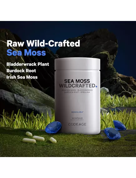 CODEAGE WILDCRAFTED SEA MOSS / СИРІ МОРСЬКІ ВОДОРОСТІ ДЛЯ ПІДТРИМКИ ЩИТОПОДІБНОЇ ЗАЛОЗИ 120 КАПСУЛ, фото 4 від магазину біодобавок nutrido.shop