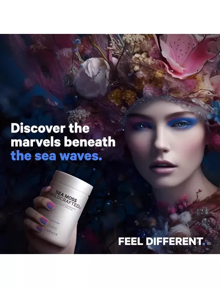 CODEAGE WILDCRAFTED SEA MOSS / СИРІ МОРСЬКІ ВОДОРОСТІ ДЛЯ ПІДТРИМКИ ЩИТОПОДІБНОЇ ЗАЛОЗИ 120 КАПСУЛ, фото 5 від магазину біодобавок nutrido.shop