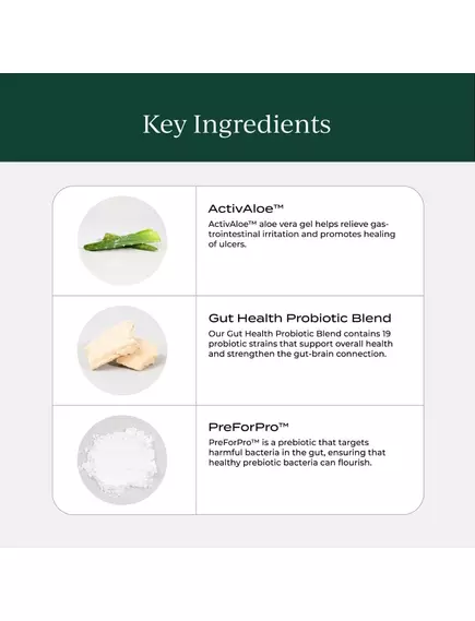 Cymbiotika Probiotic / Пробиотики 19 штаммов + пребиотики 90 капсул, фото 2 в магазине биодобавок nutrido.shop