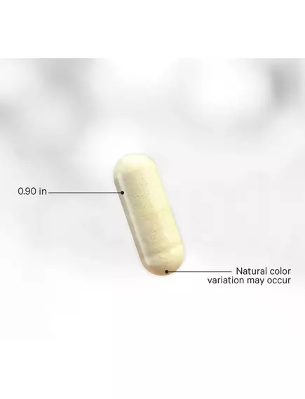 CodeAge Methylated Multivitamin+ / Комплекс мультивітамінів метильованих 90 капсул, фото 5 від магазину біодобавок nutrido.shop