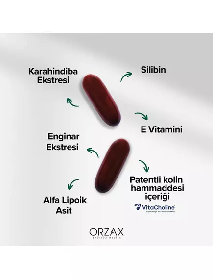 Orzax Hepalex / Гепалекс комплекс підтримки печінки з розторопшею 60 капсул, фото 3 від магазину біодобавок nutrido.shop