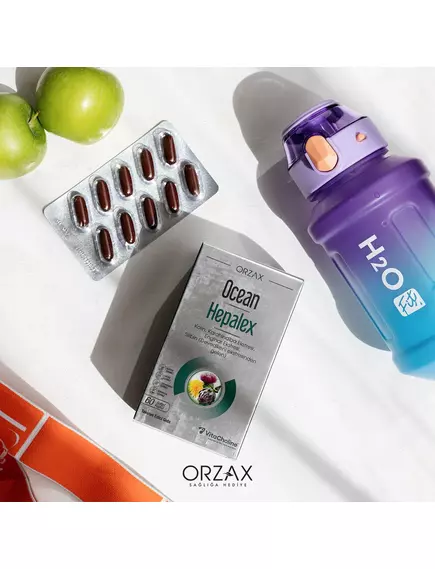 Orzax Hepalex / Гепалекс комплекс підтримки печінки з розторопшею 60 капсул, фото 5 від магазину біодобавок nutrido.shop
