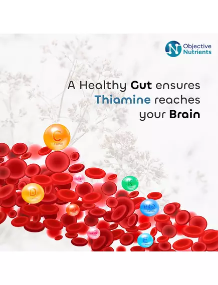 Objective Nutrients ThiAssist / ТіАсист Комплекс мінералів для засвоєння Тіаміну 188,4 г, фото 8 в магазине биодобавок nutrido.shop