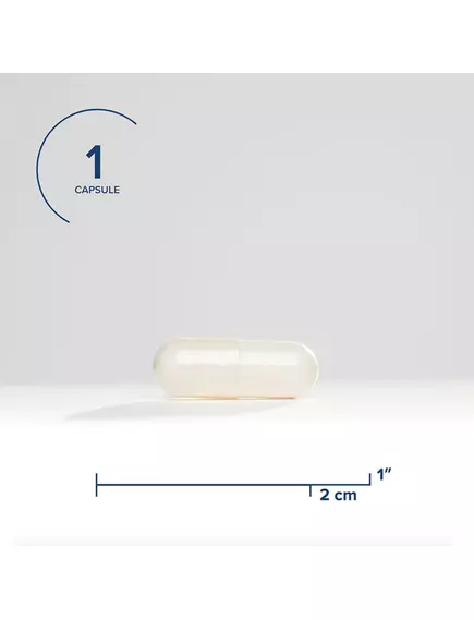 SEEKING HEALTH VITAMIN D3 / ВІТАМІН Д3 5000 МО 100 КАПСУЛ, фото 3 від магазину біодобавок nutrido.shop