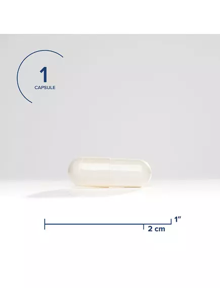 Seeking Health Niacin / Ниацин витамин Б3 50 мг 100 капсул, фото 5 в магазине биодобавок nutrido.shop