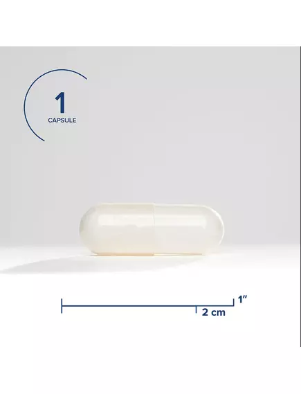 Seeking Health NAC (N-Acetyl-L-Cysteine) / НАК N-ацетил L-цистеин 90 капсул, фото 7 в магазине биодобавок nutrido.shop