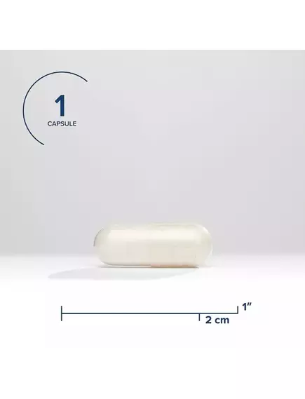 Seeking Health L-5-MTHF / Метилфолат витамин Б9 1700 мкг 60 капсул, фото 2 в магазине биодобавок nutrido.shop