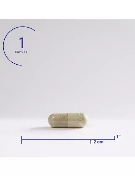 Seeking Health Optimal Focus / Оптимальный фокус - ясность ума, внимание, обучение и память 90 капс., фото 4 в магазине биодобавок nutrido.shop