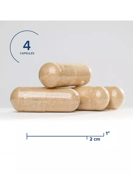 Seeking Health Optimal Man / Мультивитамины для мужчин 120 капсул, фото 3 в магазине биодобавок nutrido.shop